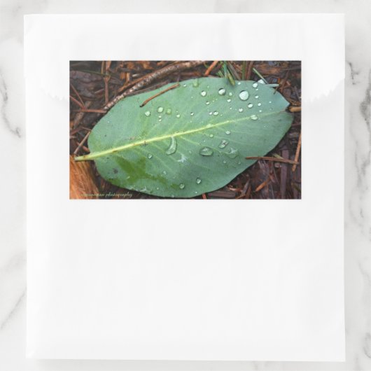 Dapped Leaf Rechthoekige Sticker (Tas)