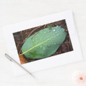 Dapped Leaf Rechthoekige Sticker (Envelop)