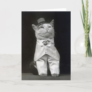 Dapper Cat, 1906 Kaart