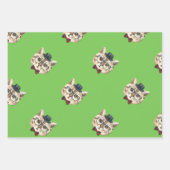 DAPPER CAT INPAKPAPIER VEL (Voorkant 3)