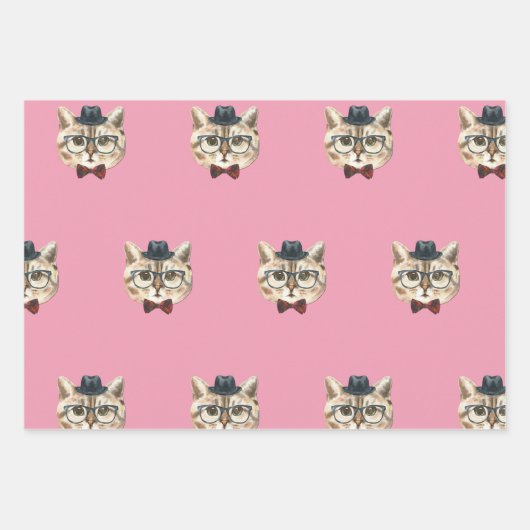 DAPPER CAT INPAKPAPIER VEL (Voorkant 2)