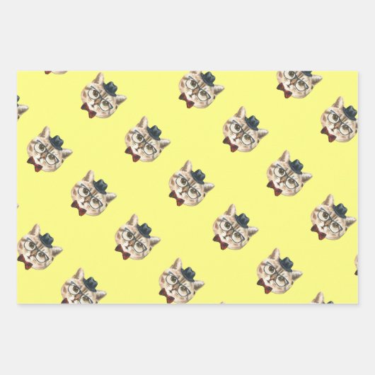 DAPPER CAT INPAKPAPIER VEL (Voorkant)