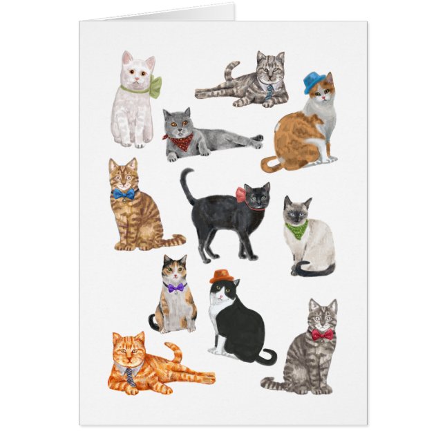 Dapper Cats (Voorkant)