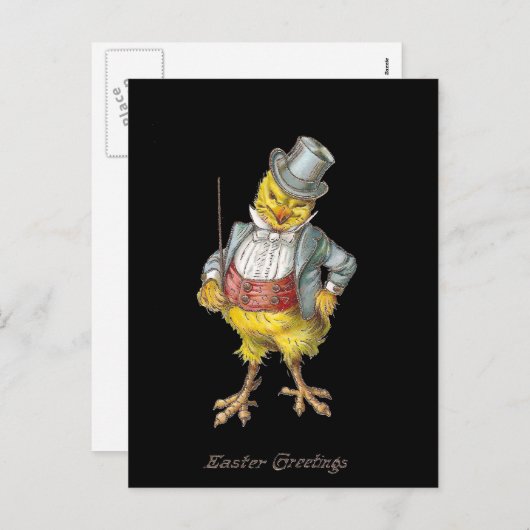 Dapper Chick  Easter Briefkaart (Voorkant / Achterkant)