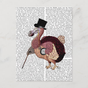 Dapper Dodo Briefkaart