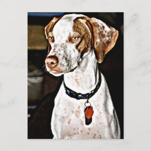 Dapper Dog Briefkaart (Voorkant)