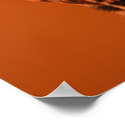 Dapper Feline Portrait - Cool Cat in Sunglasses Poster (Hoek)