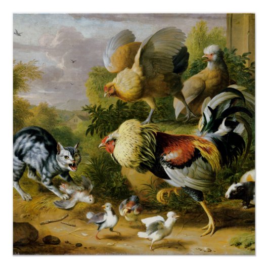 dappere kat tussen de hanen perfect poster (Voorkant)