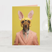 Dappere PaashaasHond (Voorkant)