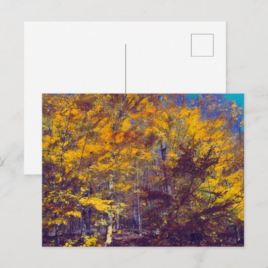 Dapping Autumn Briefkaart (Voorkant / Achterkant)