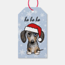 Dapple Dachshund Santa Schattige Wiener Hondenkers