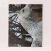 Dapple Gray Andalucian Stallion Headshot Legpuzzel (Verticaal)