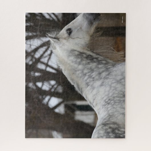 Dapple Gray Andalucian Stallion Headshot Legpuzzel (Verticaal)