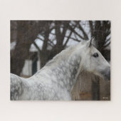 Dapple Gray Andalucian Stallion Headshot Legpuzzel (Horizontaal)