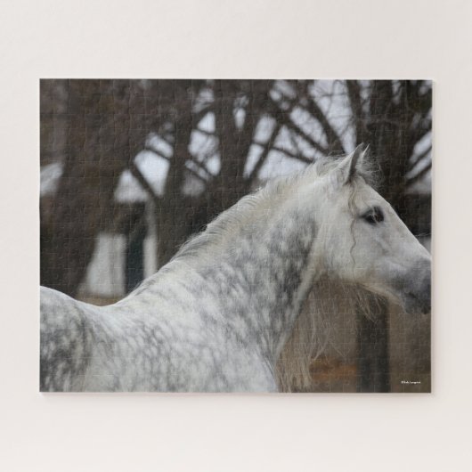 Dapple Gray Andalucian Stallion Headshot Legpuzzel (Horizontaal)