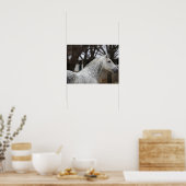 Dapple Gray Andalucian Stallion Headshot Poster (Keuken)
