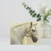 Dapple Gray Andalusië Horse Briefkaart (Staand voorkant)