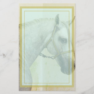Dapple Gray Andalusië Horse Briefpapier
