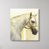 Dapple Gray Andalusië Horse Canvas Afdruk (Voorkant)