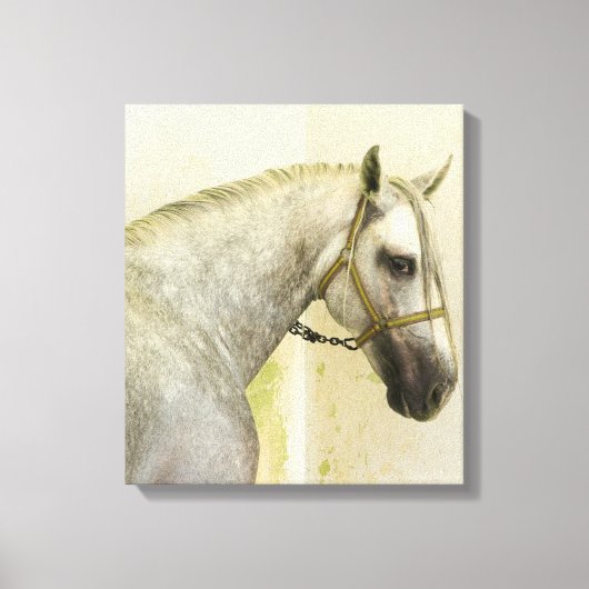 Dapple Gray Andalusië Horse Canvas Afdruk (Voorkant)