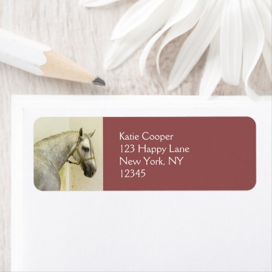 Dapple Gray Andalusië Horse Etiket (Insitu)