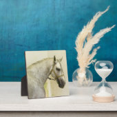 Dapple Gray Andalusië Horse Fotoplaat (Insitu)