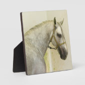 Dapple Gray Andalusië Horse Fotoplaat (Voorkant)