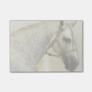 Dapple Gray Andalusië Horse Post-it® Notes
