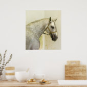 Dapple Gray Andalusië Horse Poster (Keuken)