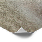 Dapple Gray Andalusië Horse Poster (Hoek)