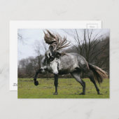 Dapple Gray Briefkaart (Voorkant / Achterkant)