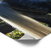 Dapple Gray Hanoverian Stallion Permanent Poster (Hoek)