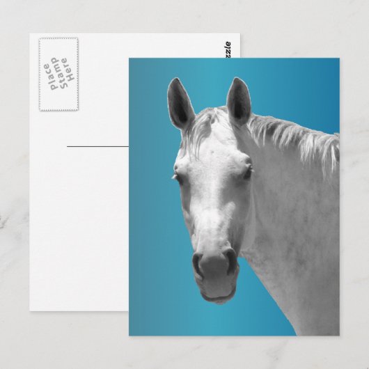 Dapple Gray Horse Briefkaart (Voorkant / Achterkant)