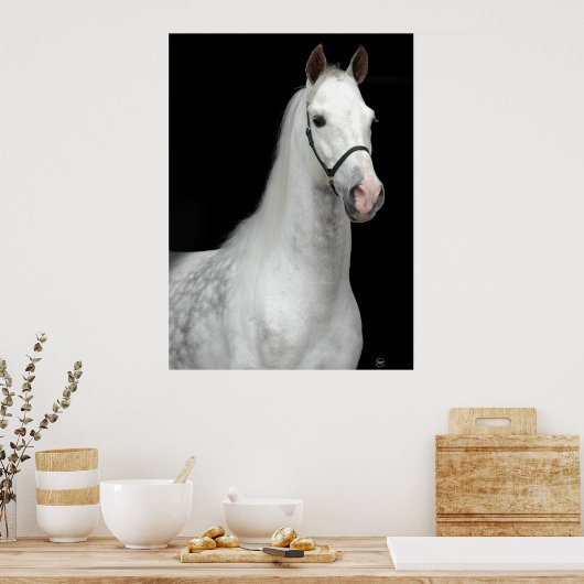 Dapple Gray Horse Poster (Keuken)