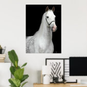 Dapple Gray Horse Poster (Thuiskantoor)