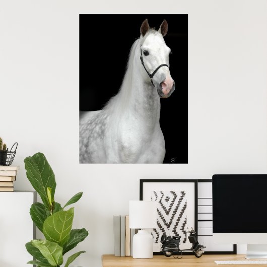 Dapple Gray Horse Poster (Thuiskantoor)