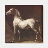 Dapple Gray Horse (van Théodore Géricault) Magneet (Voorkant)