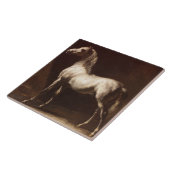 Dapple Gray Horse (van Théodore Géricault) Tegeltje (Zijkant)