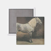 Dapple Gray Magneet (Voorkant / Achterkant)