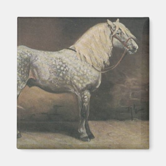 Dapple Gray Magneet (Voorkant)