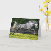 Dapple Gray Rocky Mountain Horse Leaping Kaart (Gele Bloem)