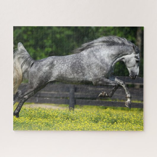 Dapple Gray Rocky Mountain Horse Leaping Legpuzzel (Horizontaal)