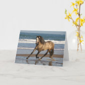 Dapple Grey Andalucian Stallion op strand Kaart (Gele Bloem)