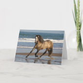 Dapple Grey Andalucian Stallion op strand Kaart (Voorkant)