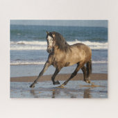 Dapple Grey Andalucian Stallion op strand Legpuzzel (Horizontaal)