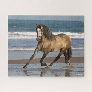 Dapple Grey Andalucian Stallion op strand Legpuzzel