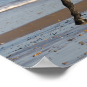 Dapple Grey Andalucian Stallion op strand Poster (Hoek)