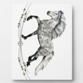 Dapple Grey IJslandse Mare Grá Fotoplaat (Voorkant)