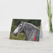 Dapple grey Percheron paardenverjaardag Kaart (Voorkant)