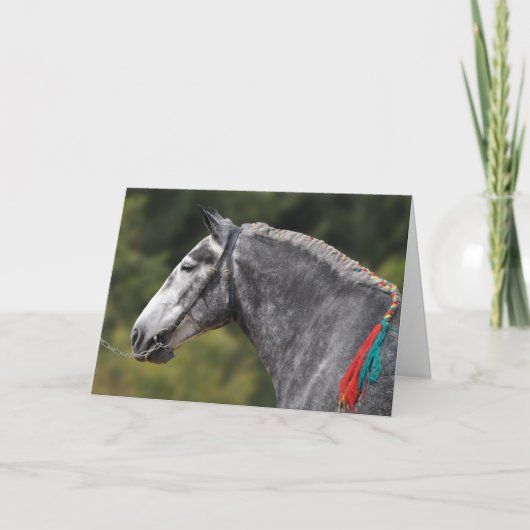 Dapple grey Percheron paardenverjaardag Kaart (Voorkant)